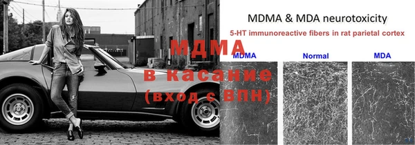 ешки Абаза