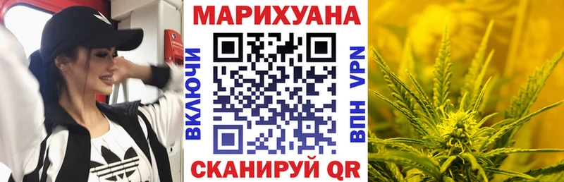 Бошки Шишки план Бавлы